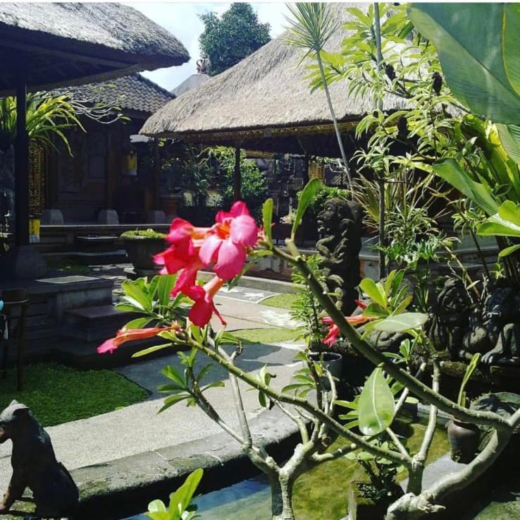 Family Guest House Ubud  Luaran gambar